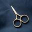 Fine Work Gold Scissor