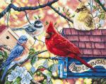 Springtime Songbirds