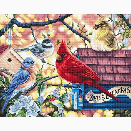 Springtime Songbirds