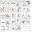 Baby Toys Alphabet