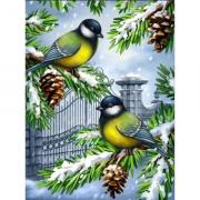 Titmouse in the Winter