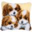 3 Dogs