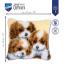 3 Dogs