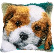 Little dog