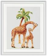 Safari Giraffe