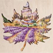 Lavender fields