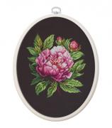 ’’Peter Brand’’ Peony