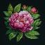 ’’Peter Brand’’ Peony