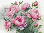 The Charm of Peonies