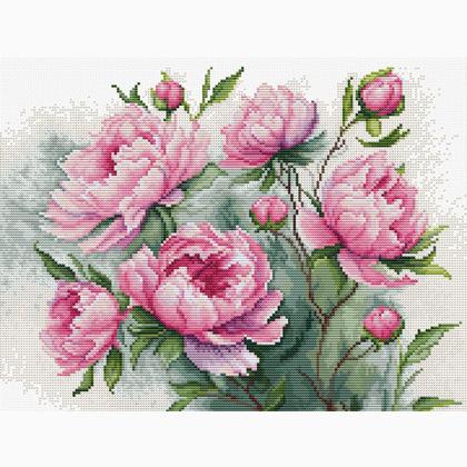 The Charm of Peonies