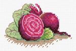 Sugar beet