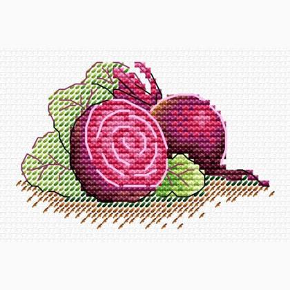 Sugar beet