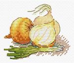 Golden onion