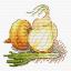 Golden onion