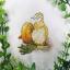 Golden onion