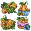 Pumpkins (4)