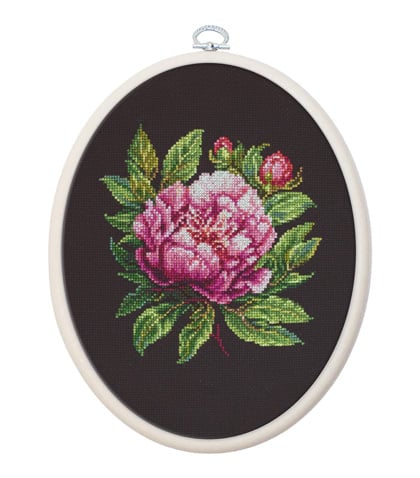 ’’Peter Brand’’ Peony