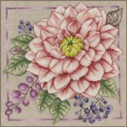 Blooming blush