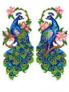 Peacocks (2)