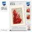 Greeting Cards: Bible story - Set of 3