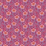 Winterrose Hibiscus