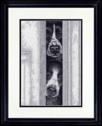 Peeking Pups