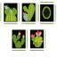 Tissue Box Cover Cactus