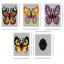 Tissue Box Cover Butterflies