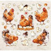 Pied Hens