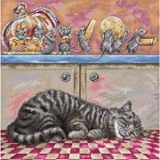 When the cat sleep