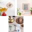 Eco Vita Book 1 - The Botanist's Cabinet