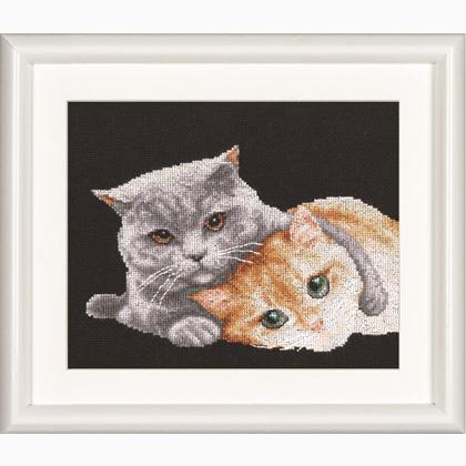 Cat Friends - Black