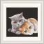 Cat Friends - Black