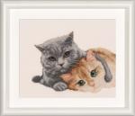 Cat Friends