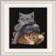 Hear no evil, See no evil, Speak no evil Cats - Black