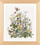 Thea's Garden Flowers