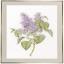 Lilac - Aida