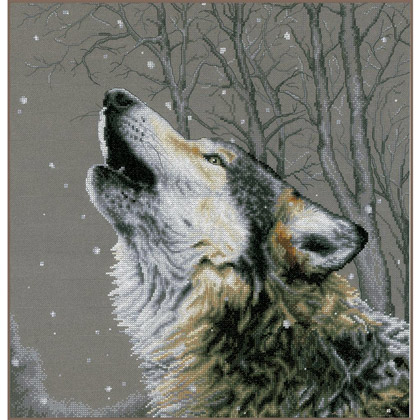 Howling at the stars