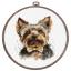 The Yorkshire Terrier