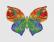 Colorful butterfly