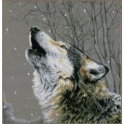 Howling at the stars