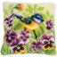 Blue tit on pansies