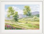 Native spaces - Birch trees