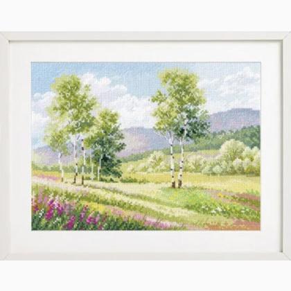 Native spaces - Birch trees