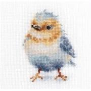 Small birds - Vju!