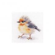 Small birds - Tiv!