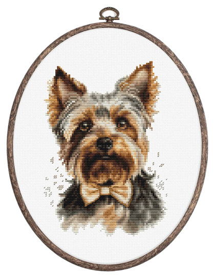 The Yorkshire Terrier