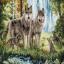 Wolf family