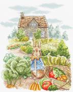 Summer Harvest