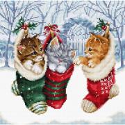 Snowy Kitties